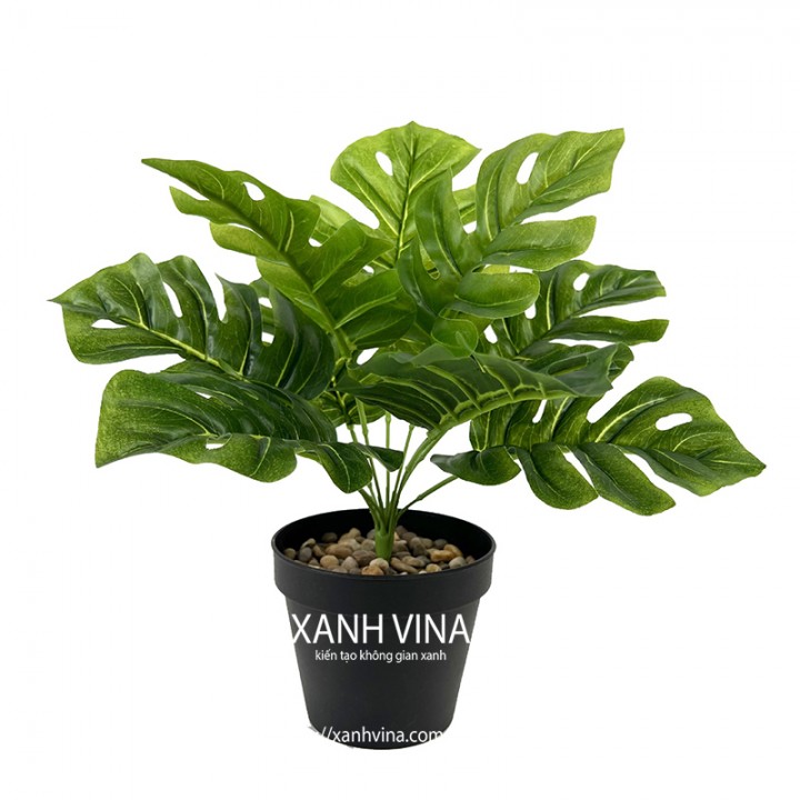 Cây giả để bàn cao 35cm _  lá rách